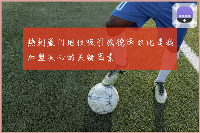 热刺豪门地位吸引我德泽尔比是我加盟决心的关键因素